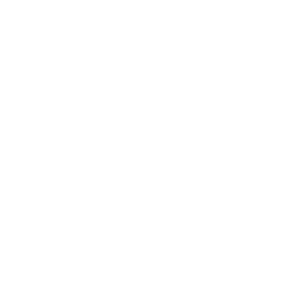 BLM Sports logo
